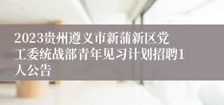 2023贵州遵义市新蒲新区党工委统战部青年见习计划招聘1人公告