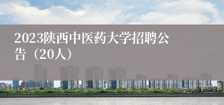 2023陕西中医药大学招聘公告（20人）