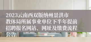 2023云南西双版纳州景洪市教体局所属事业单位下半年提前招聘报名网站、网址及缴费流程公告