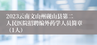 2023云南文山州砚山县第二人民医院招聘编外药学人员简章（1人）