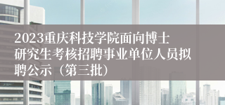 2023重庆科技学院面向博士研究生考核招聘事业单位人员拟聘公示（第三批）