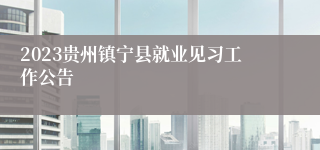 2023贵州镇宁县就业见习工作公告