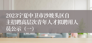 2023宁夏中卫市沙坡头区自主招聘高层次青年人才拟聘用人员公示（一）