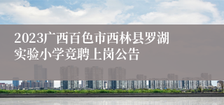 2023广西百色市西林县罗湖实验小学竞聘上岗公告