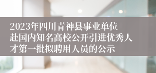 2023年四川青神县事业单位赴国内知名高校公开引进优秀人才第一批拟聘用人员的公示