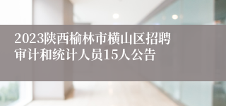 2023陕西榆林市横山区招聘审计和统计人员15人公告