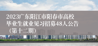 2023广东阳江市阳春市高校毕业生就业见习招募48人公告（第十二期）