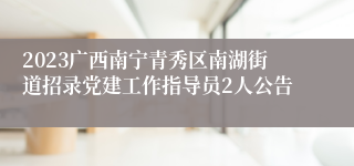 2023广西南宁青秀区南湖街道招录党建工作指导员2人公告