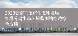 2023云南玉溪市生态环境局红塔分局生态环境监测站招聘综合成绩
