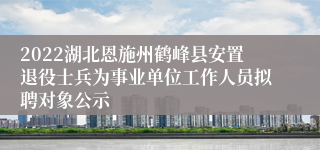 2022湖北恩施州鹤峰县安置退役士兵为事业单位工作人员拟聘对象公示