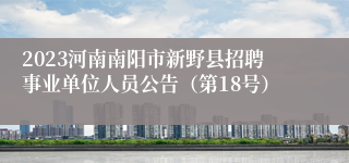 2023河南南阳市新野县招聘事业单位人员公告（第18号）