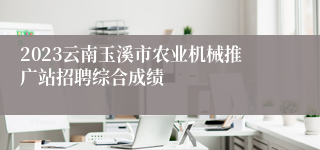 2023云南玉溪市农业机械推广站招聘综合成绩