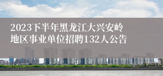 2023下半年黑龙江大兴安岭地区事业单位招聘132人公告