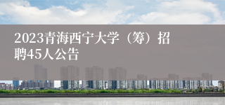 2023青海西宁大学（筹）招聘45人公告