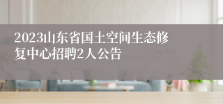 2023山东省国土空间生态修复中心招聘2人公告
