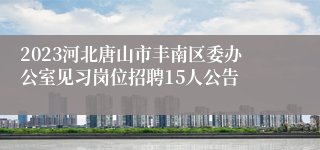 2023河北唐山市丰南区委办公室见习岗位招聘15人公告