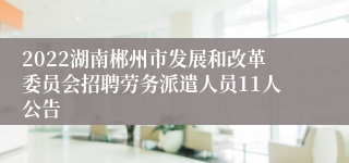 2022湖南郴州市发展和改革委员会招聘劳务派遣人员11人公告