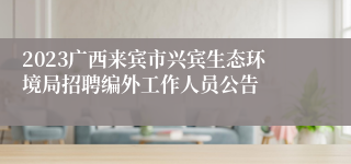 2023广西来宾市兴宾生态环境局招聘编外工作人员公告