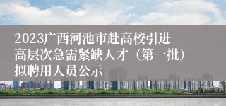 2023广西河池市赴高校引进高层次急需紧缺人才（第一批）拟聘用人员公示