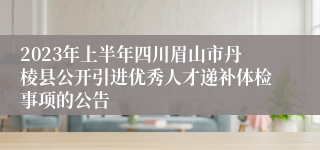 2023年上半年四川眉山市丹棱县公开引进优秀人才递补体检事项的公告