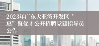 2023年广东大亚湾开发区“惠”聚优才公开招聘党建指导员公告