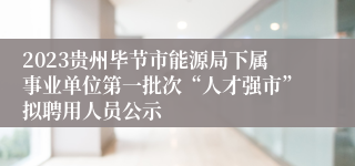 2023贵州毕节市能源局下属事业单位第一批次“人才强市”拟聘用人员公示