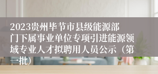 2023贵州毕节市县级能源部门下属事业单位专项引进能源领域专业人才拟聘用人员公示（第一批）
