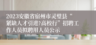 2023安徽省宿州市灵璧县“紧缺人才引进?高校行”招聘工作人员拟聘用人员公示