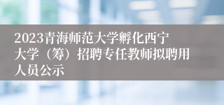2023青海师范大学孵化西宁大学（筹）招聘专任教师拟聘用人员公示