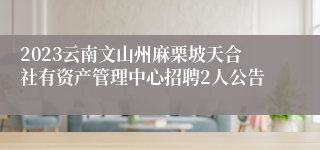 2023云南文山州麻栗坡天合社有资产管理中心招聘2人公告