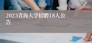 2023青海大学招聘18人公告