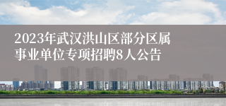 2023年武汉洪山区部分区属事业单位专项招聘8人公告