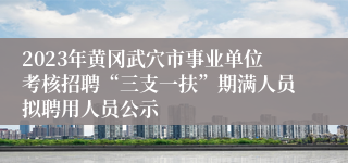 2023年黄冈武穴市事业单位考核招聘“三支一扶”期满人员拟聘用人员公示