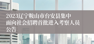 2023辽宁鞍山市台安县集中面向社会招聘首批进入考察人员公告