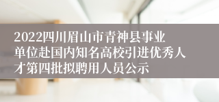 2022四川眉山市青神县事业单位赴国内知名高校引进优秀人才第四批拟聘用人员公示