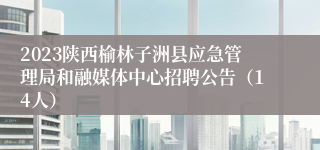 2023陕西榆林子洲县应急管理局和融媒体中心招聘公告（14人）