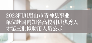 2023四川眉山市青神县事业单位赴国内知名高校引进优秀人才第三批拟聘用人员公示