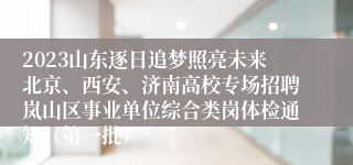 2023山东逐日追梦照亮未来北京、西安、济南高校专场招聘岚山区事业单位综合类岗体检通知（第一批）