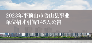 2023年平顶山市鲁山县事业单位招才引智145人公告