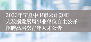 2023年宁夏中卫市云计算和大数据发展局事业单位自主公开招聘高层次青年人才公告