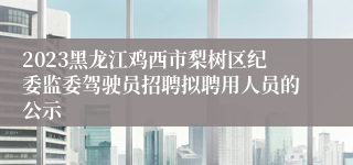 2023黑龙江鸡西市梨树区纪委监委驾驶员招聘拟聘用人员的公示