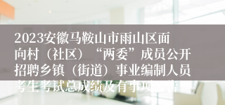 2023安徽马鞍山市雨山区面向村（社区）“两委”成员公开招聘乡镇（街道）事业编制人员考生考试总成绩及有事项公告