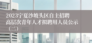 2023宁夏沙坡头区自主招聘高层次青年人才拟聘用人员公示（二）