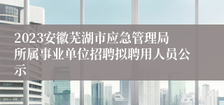 2023安徽芜湖市应急管理局所属事业单位招聘拟聘用人员公示