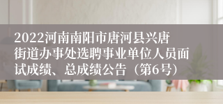 2022河南南阳市唐河县兴唐街道办事处选聘事业单位人员面试成绩、总成绩公告（第6号）