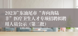 2023广东汕尾市“奔向海陆丰”医疗卫生人才专项招聘拟聘用人员公示（第二批）