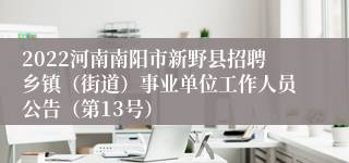 2022河南南阳市新野县招聘乡镇（街道）事业单位工作人员公告（第13号）