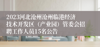 2023河北沧州沧州临港经济技术开发区（产业园）管委会招聘工作人员15名公告