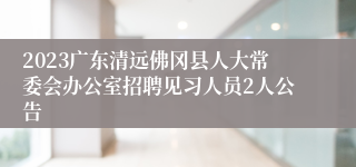 2023广东清远佛冈县人大常委会办公室招聘见习人员2人公告
