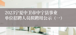 2023宁夏中卫市中宁县事业单位招聘人员拟聘用公示（一）